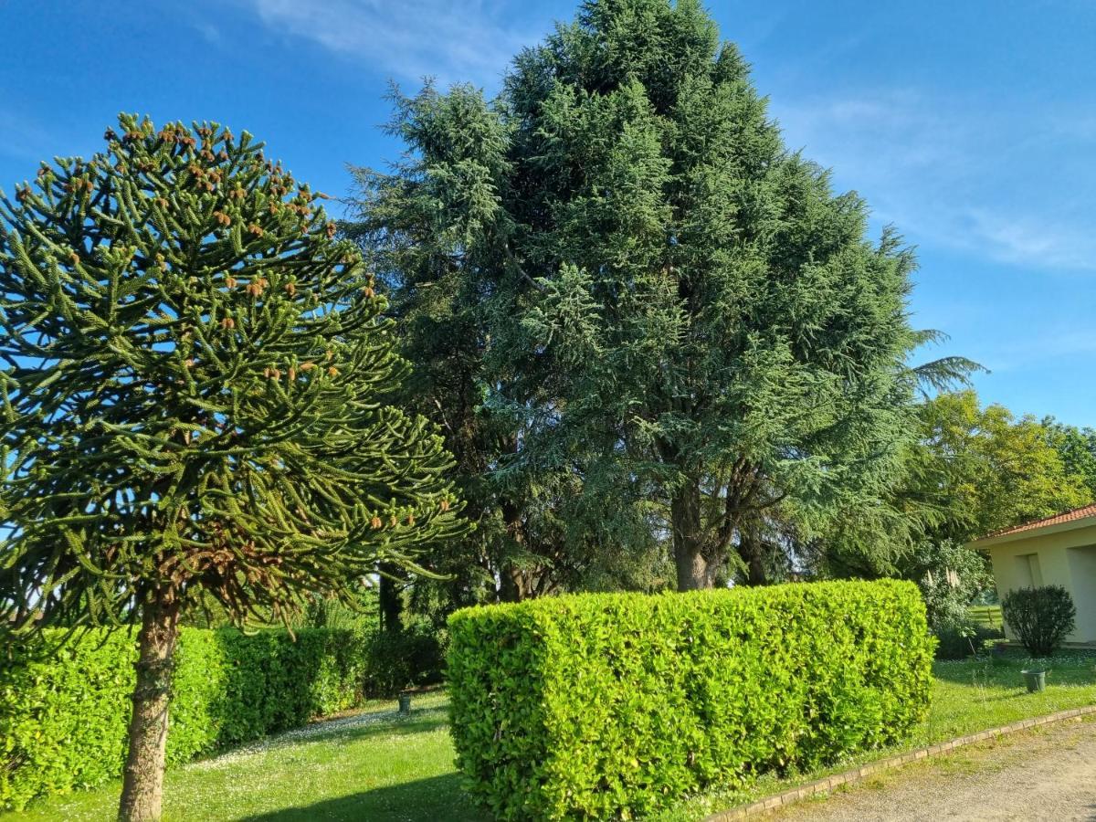 Les 3 Cedres Villa Miramont-de-Guyenne Exterior foto