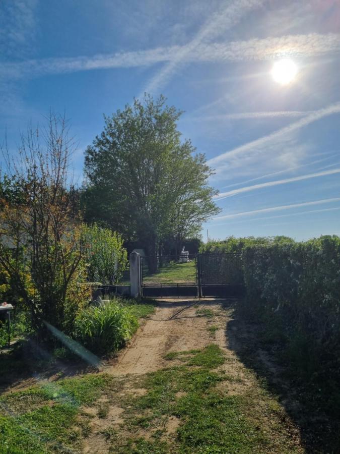Les 3 Cedres Villa Miramont-de-Guyenne Exterior foto